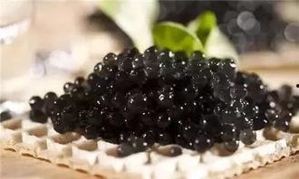 鱼子酱国产故事视频,从海洋珍馐到民族品牌的蜕变之旅