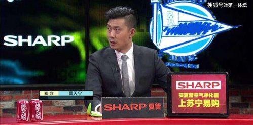 足球国产解说员是谁呀视频,国产解说员的魅力与风采