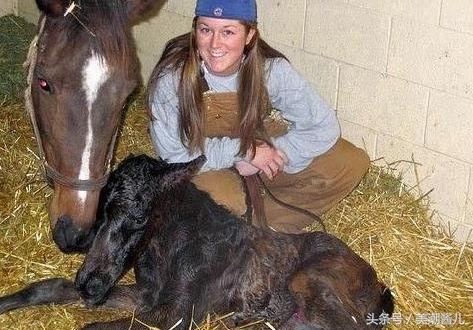 国产人配种XXXX视频,揭秘神秘繁殖背后的真相